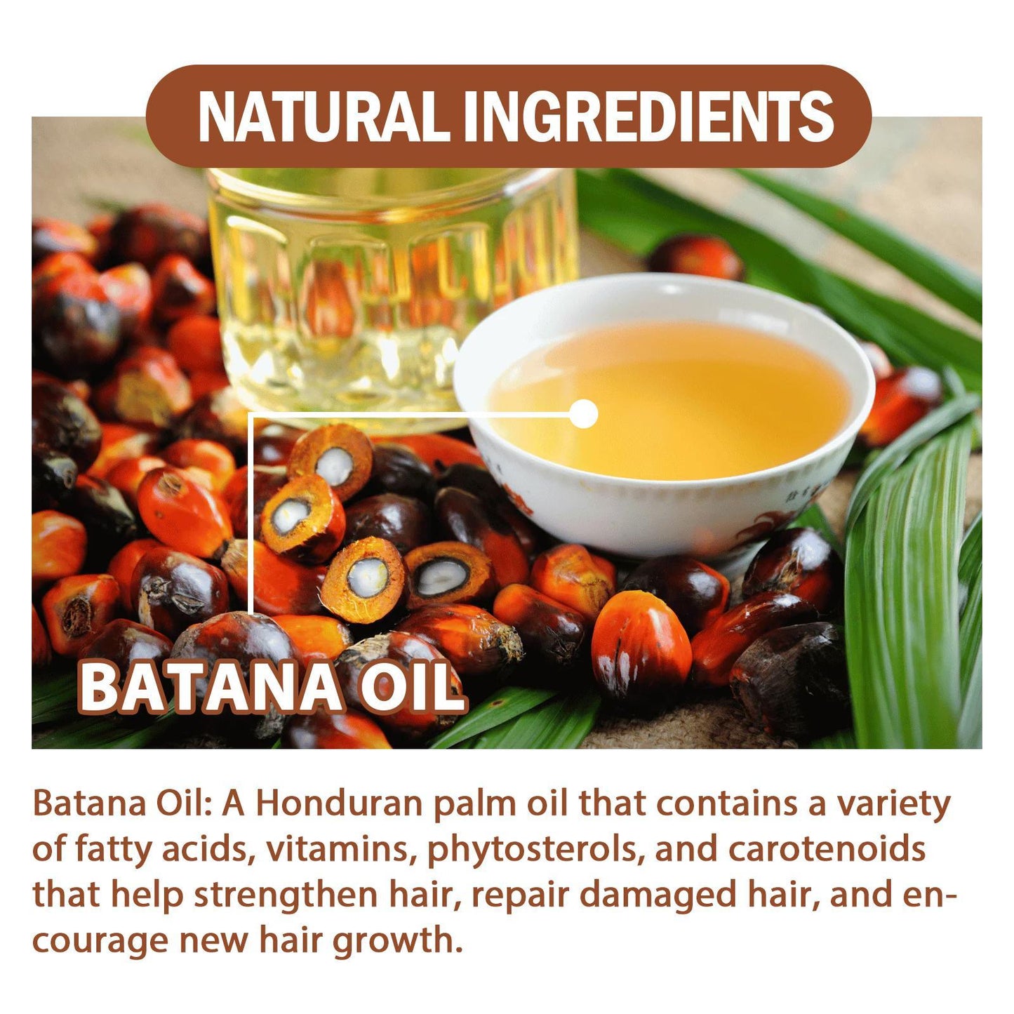 Batana Oil From Honduras - Get Fuller, Thicker, Healthier Hair - Great Gifts For Women Men Conditioner Haircare Silky - Hair Nutrition Ooho