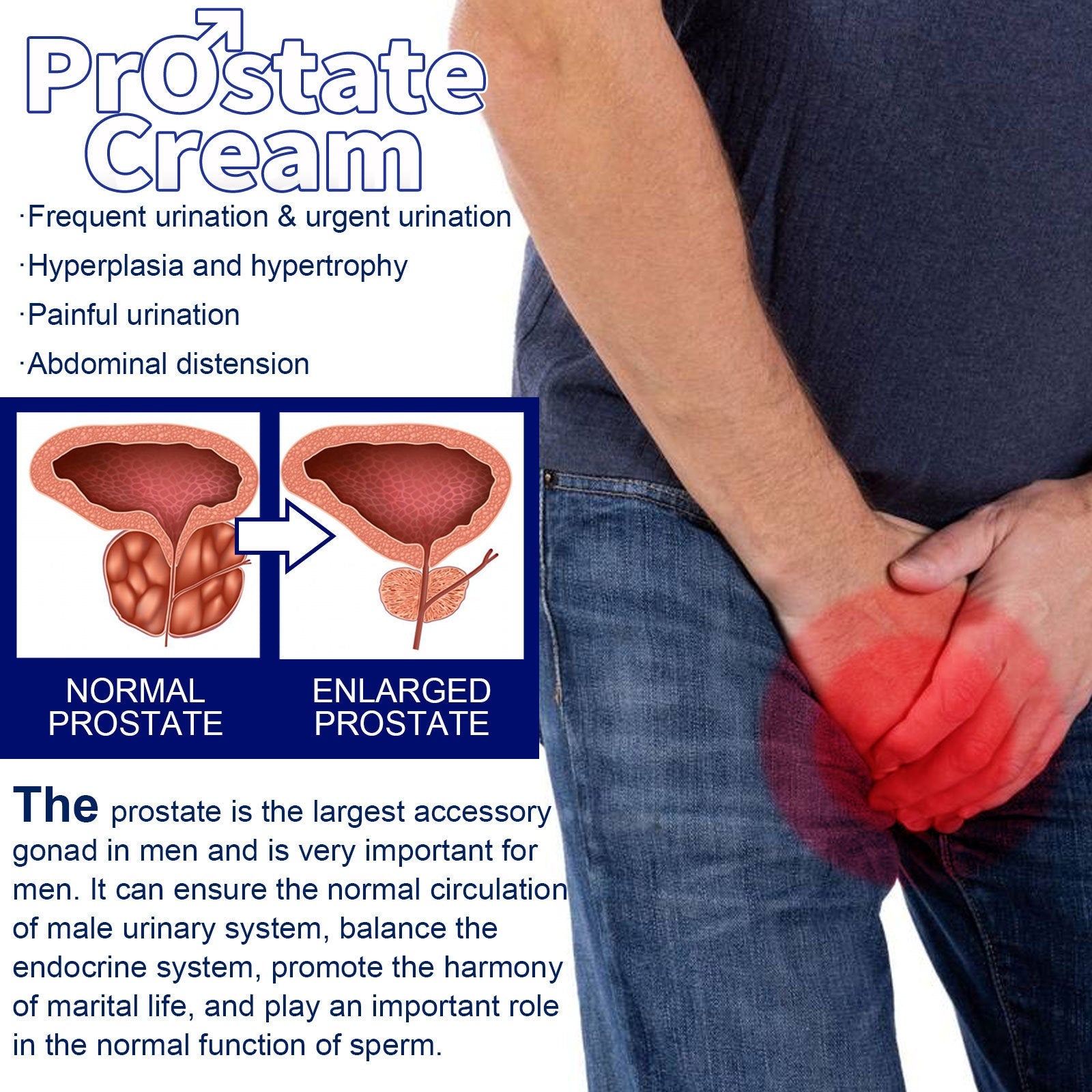 Prostate Discomfort Strengthening Kidney Body Care Men Care Cream Ooho